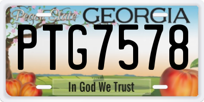 GA license plate PTG7578
