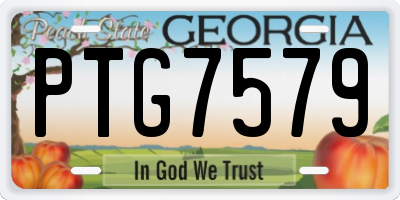 GA license plate PTG7579