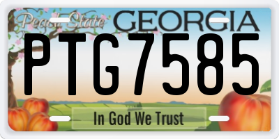 GA license plate PTG7585