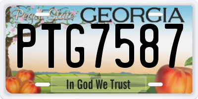 GA license plate PTG7587