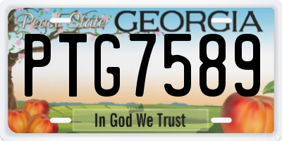 GA license plate PTG7589