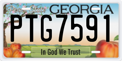 GA license plate PTG7591