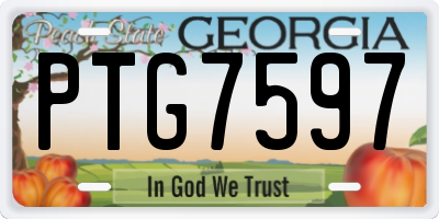 GA license plate PTG7597