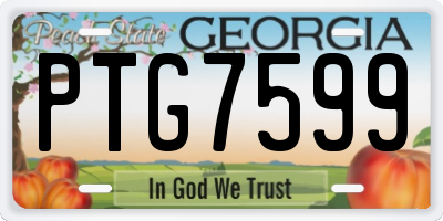 GA license plate PTG7599