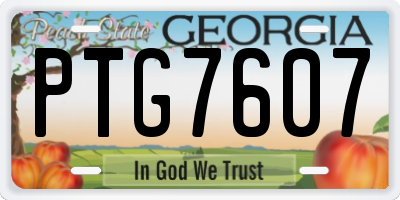 GA license plate PTG7607