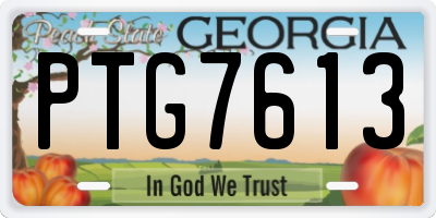 GA license plate PTG7613