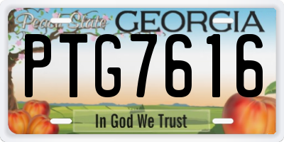 GA license plate PTG7616