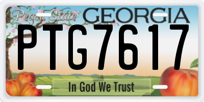 GA license plate PTG7617