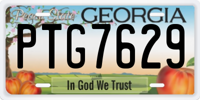 GA license plate PTG7629