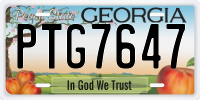 GA license plate PTG7647