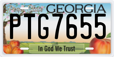 GA license plate PTG7655
