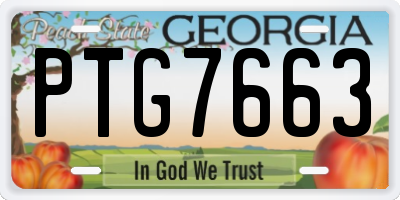 GA license plate PTG7663