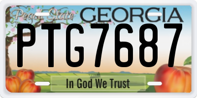 GA license plate PTG7687