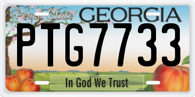 GA license plate PTG7733
