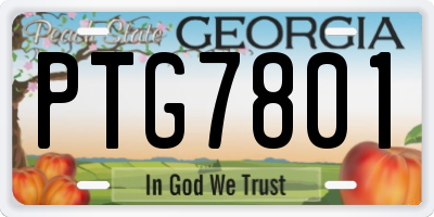 GA license plate PTG7801