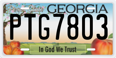 GA license plate PTG7803
