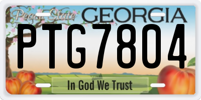 GA license plate PTG7804
