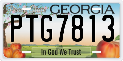 GA license plate PTG7813