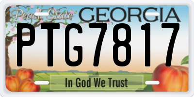 GA license plate PTG7817