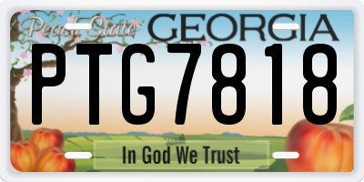GA license plate PTG7818