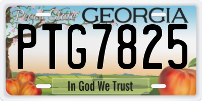 GA license plate PTG7825