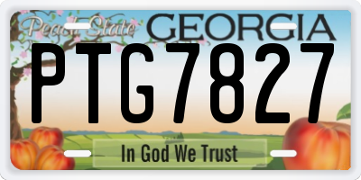 GA license plate PTG7827