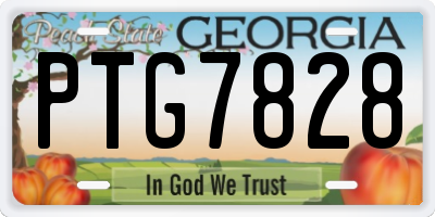 GA license plate PTG7828