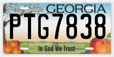 GA license plate PTG7838