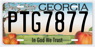 GA license plate PTG7877