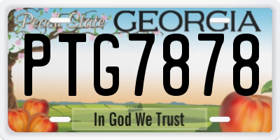 GA license plate PTG7878