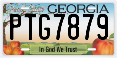 GA license plate PTG7879
