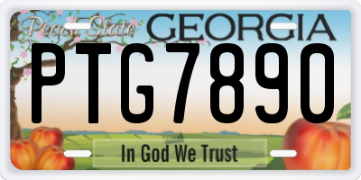 GA license plate PTG7890