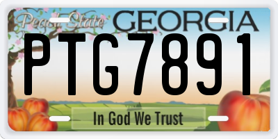 GA license plate PTG7891