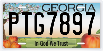 GA license plate PTG7897