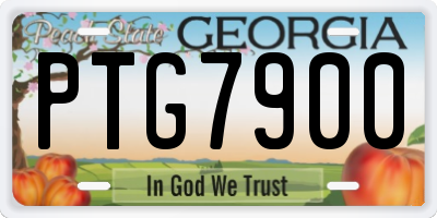 GA license plate PTG7900