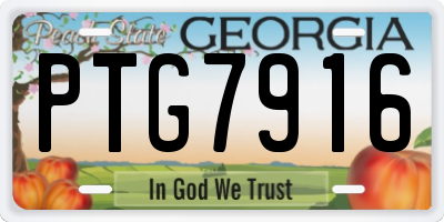 GA license plate PTG7916