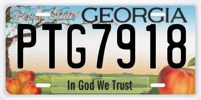 GA license plate PTG7918