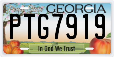 GA license plate PTG7919