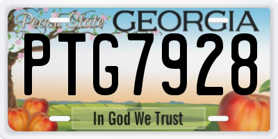 GA license plate PTG7928