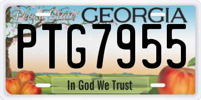 GA license plate PTG7955