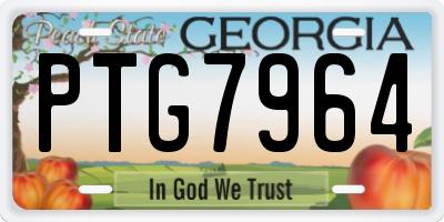 GA license plate PTG7964