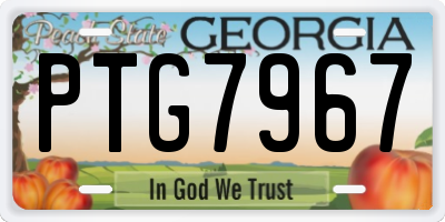 GA license plate PTG7967