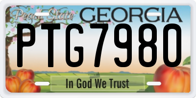 GA license plate PTG7980