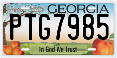 GA license plate PTG7985