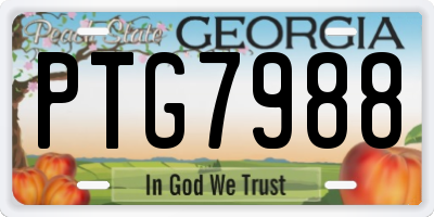 GA license plate PTG7988