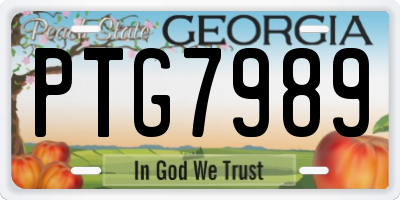 GA license plate PTG7989
