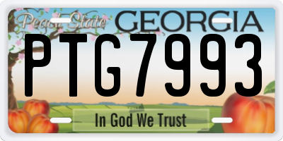 GA license plate PTG7993