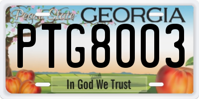 GA license plate PTG8003