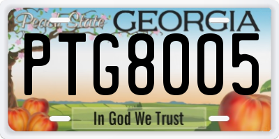 GA license plate PTG8005