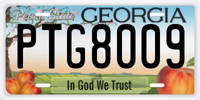 GA license plate PTG8009